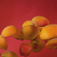 Carnelian Apricot